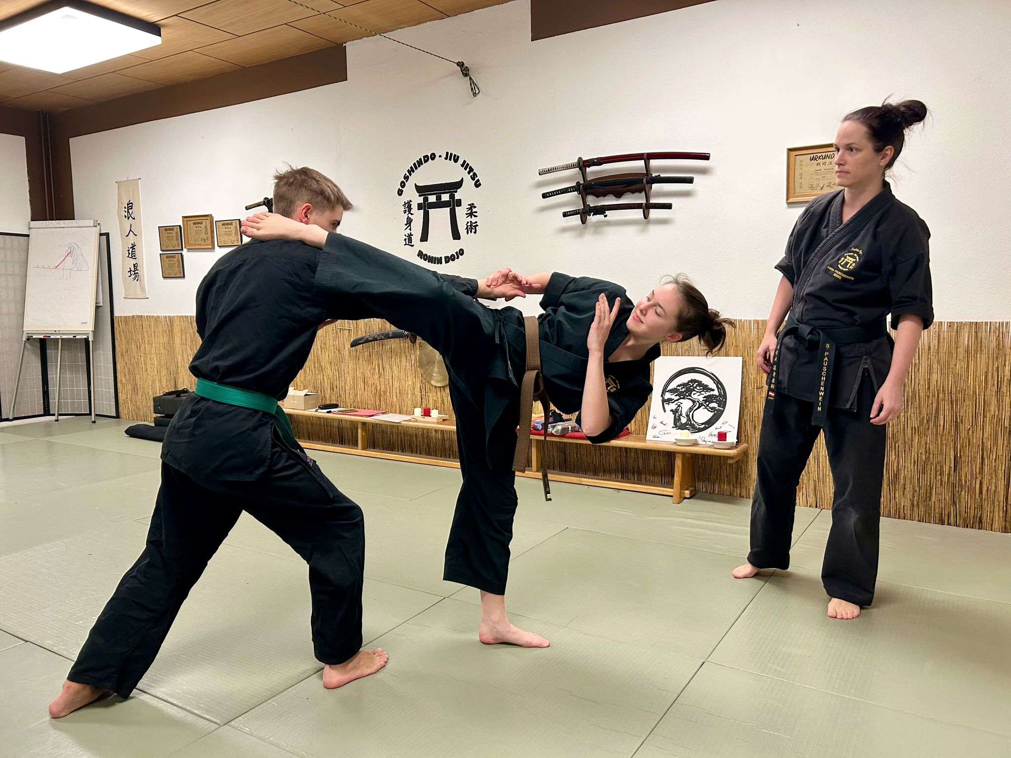 IMAGE JIU JITSU PÖTTSCHING DOJO MATTERSBURG