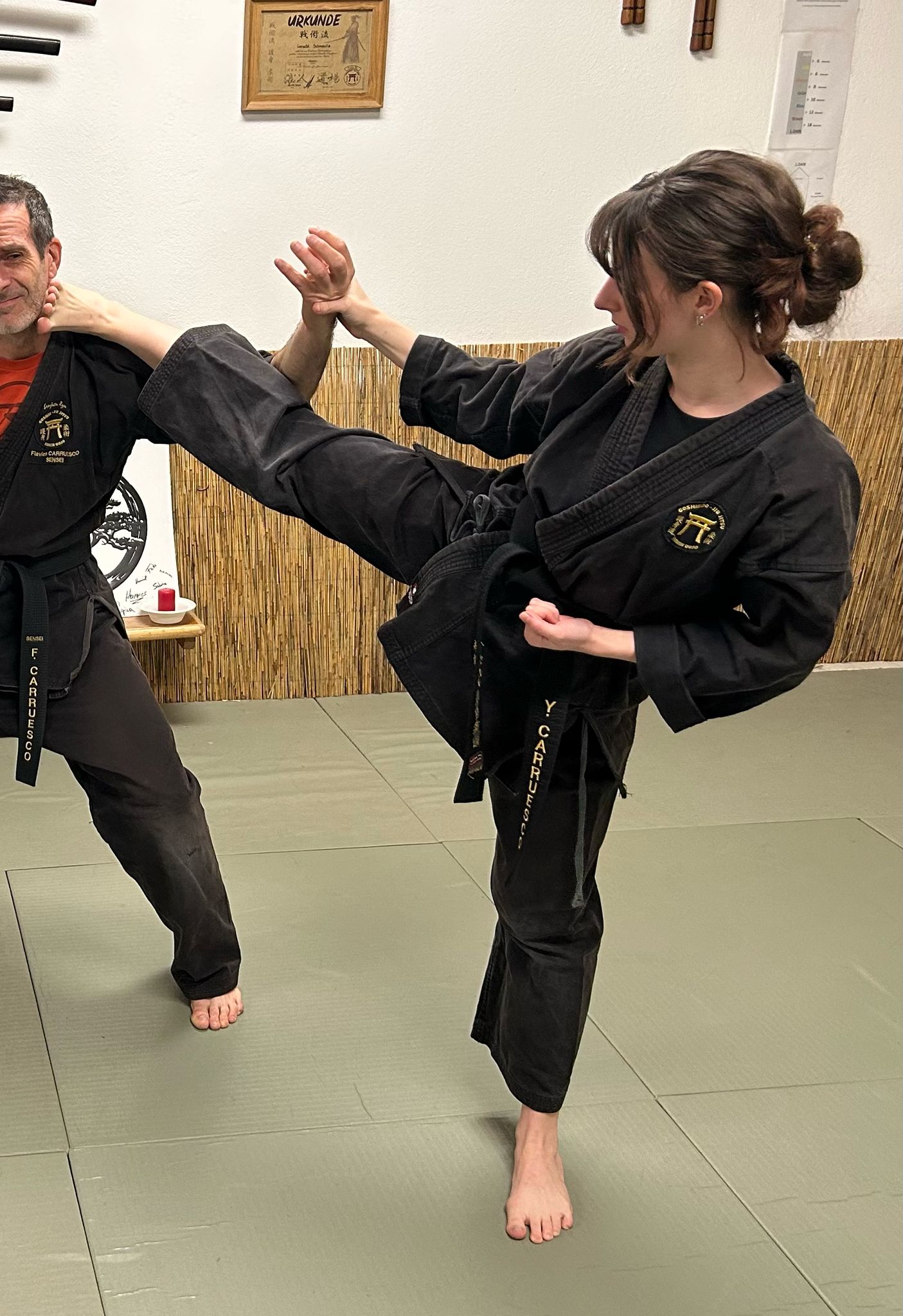 IMAGE JIU JITSU PÖTTSCHING DOJO MATTERSBURG