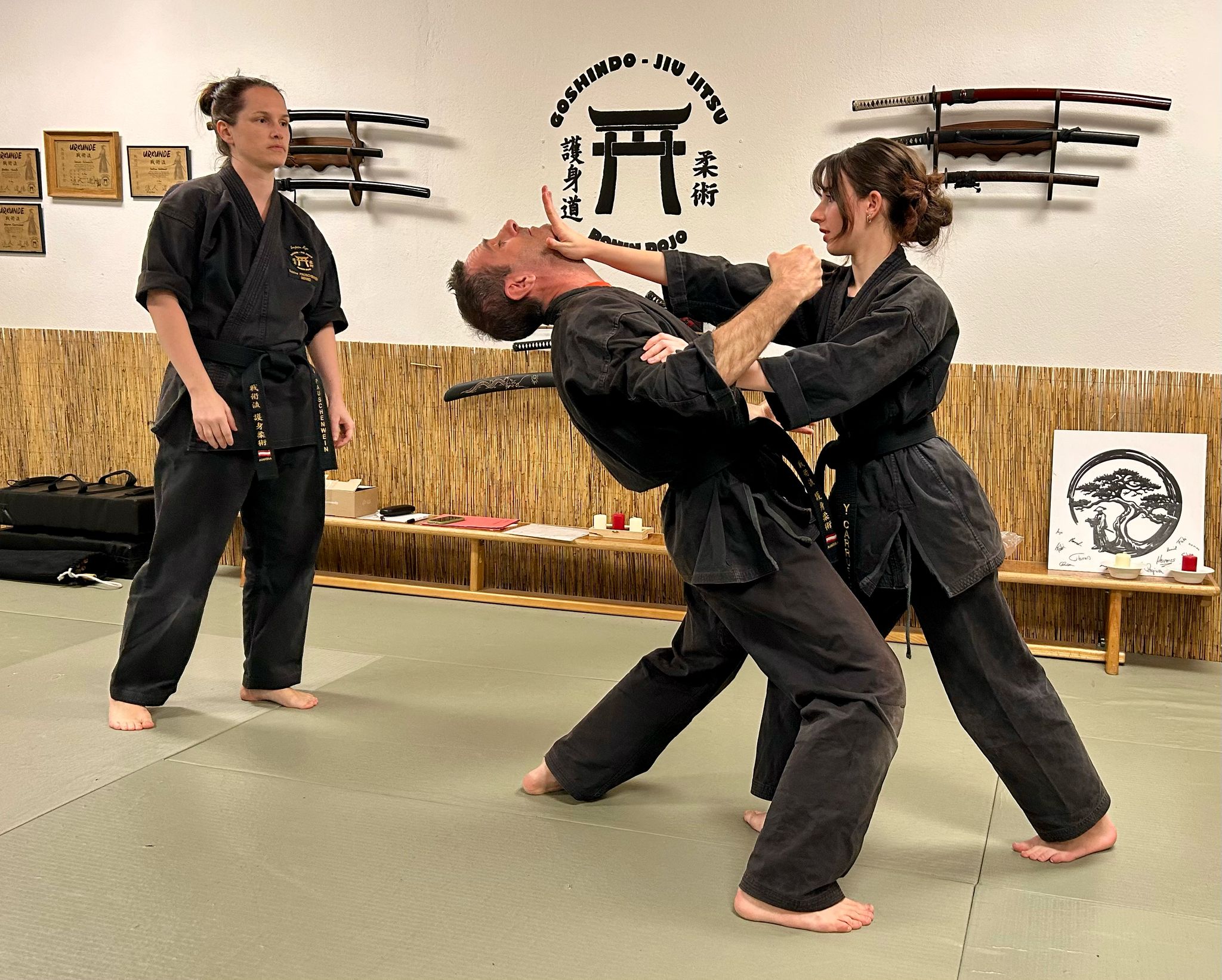 IMAGE JIU JITSU PÖTTSCHING DOJO MATTERSBURG