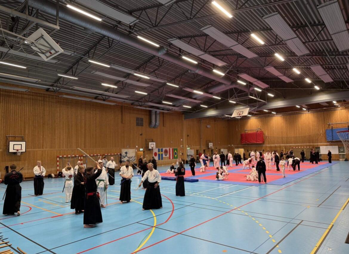 IMAGE JIU JITSU PÖTTSCHING DOJO MATTERSBURG