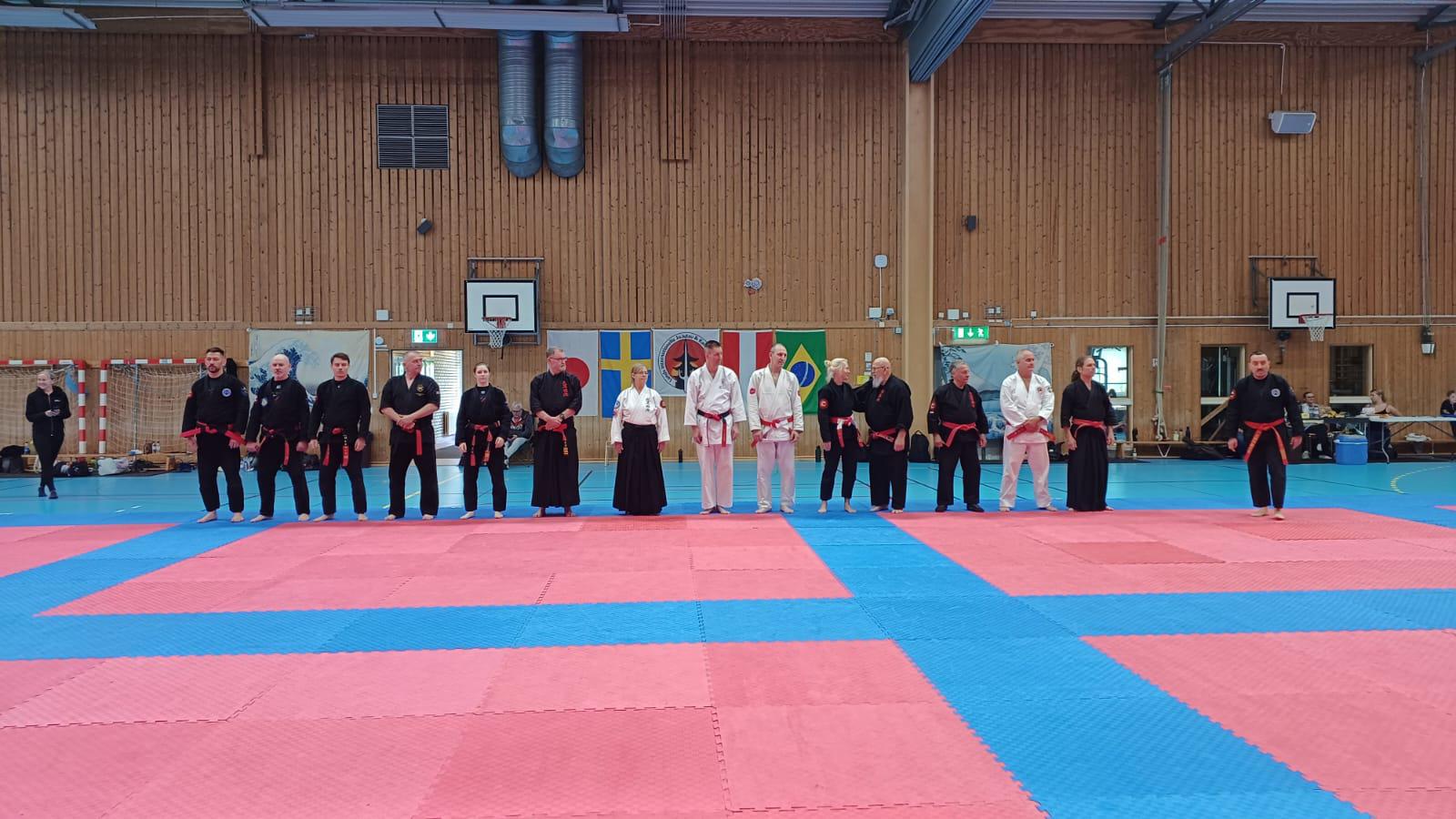 IMAGE JIU JITSU PÖTTSCHING DOJO MATTERSBURG