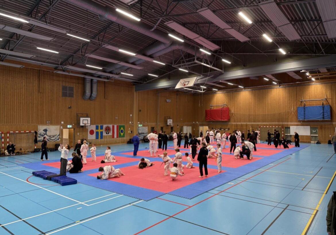 IMAGE JIU JITSU PÖTTSCHING DOJO MATTERSBURG