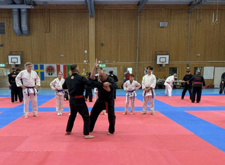 IMAGE JIU JITSU PÖTTSCHING DOJO MATTERSBURG