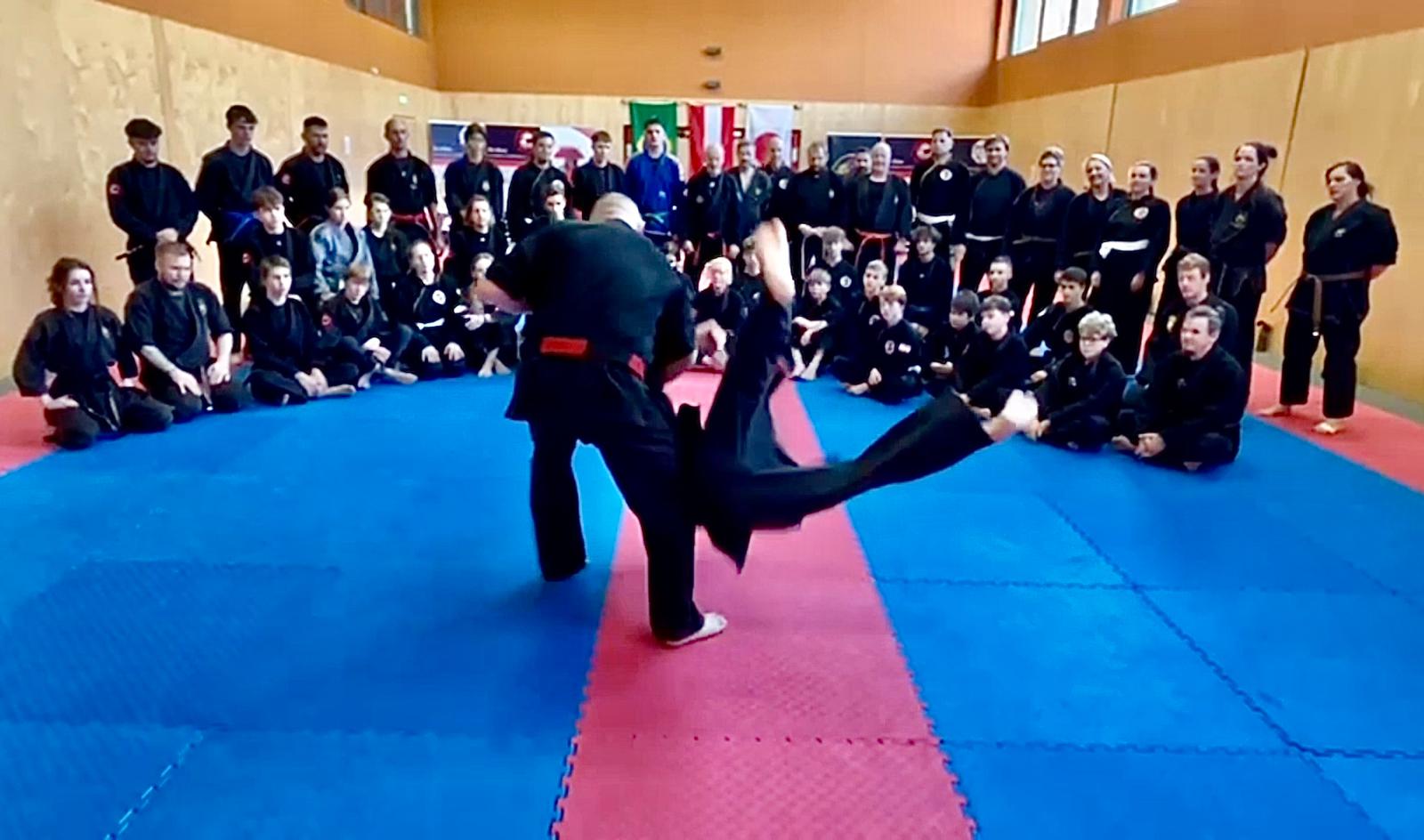 IMAGE JIU JITSU PÖTTSCHING DOJO MATTERSBURG